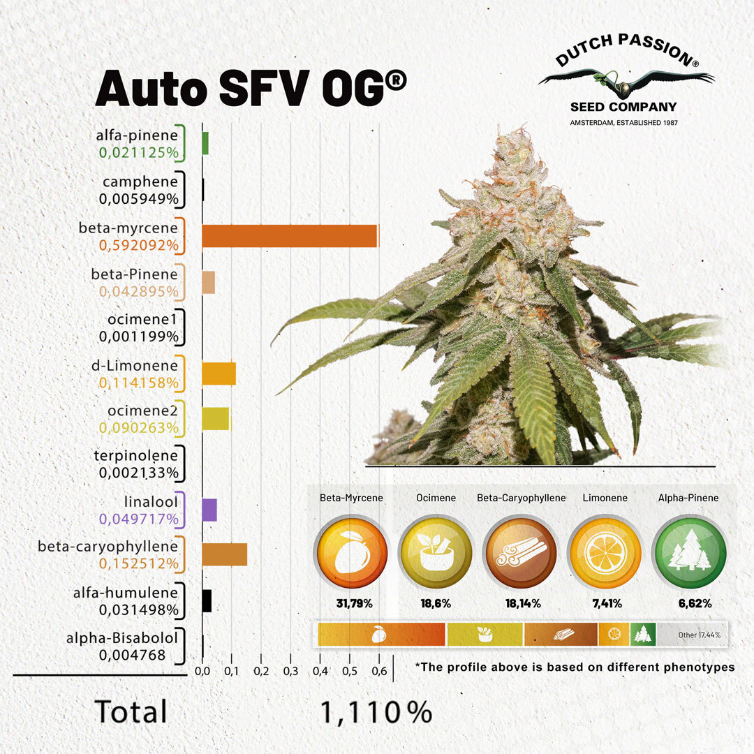 Auto-SFV-OG-terpenes-over-1-procent (1).